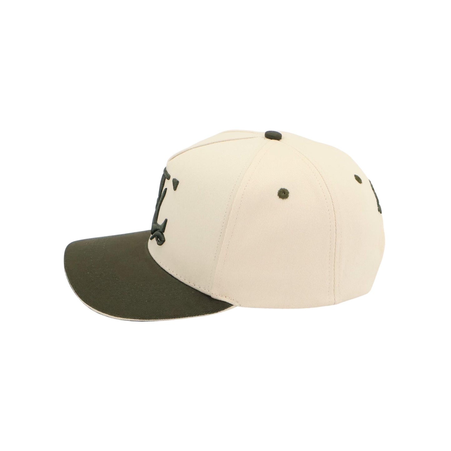 TOPLAGY Signature Cap